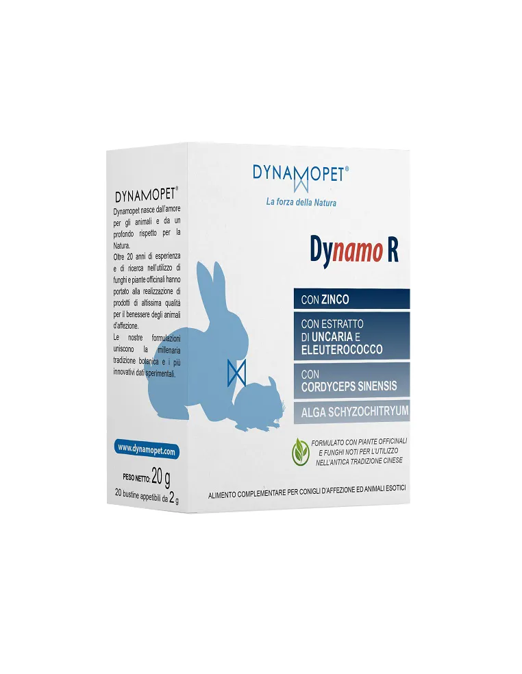 Dynamo R 20 Bustine 2 Gr