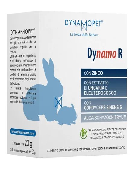 Dynamo R 20 Bustine 2 Gr Dynamo R 20 Bustine 2 Gr