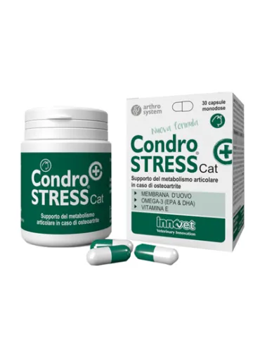 Condrostress + Cat 30 Compresse