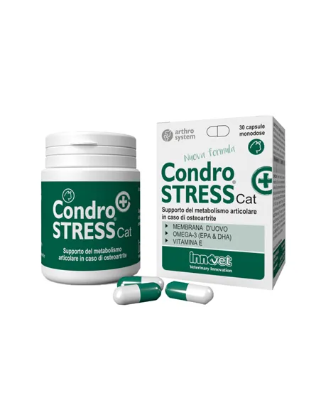 Condrostress + Cat 30 Compresse