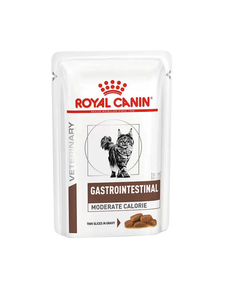 Gastro Intestinal Gatto 12x85 Gr Umido Royal Canin
