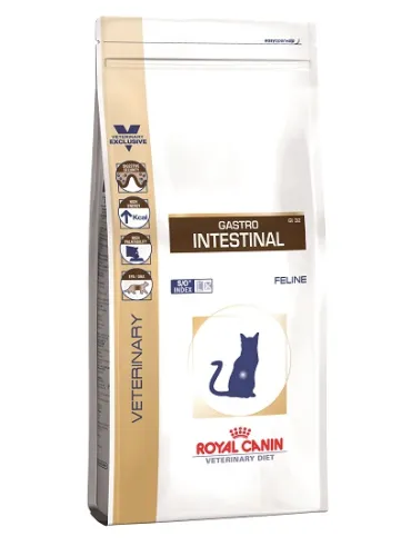 Gastro Intestinal Gatto 4 Kg Royal Canin