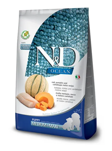 N&D Ocean Dog Pumpkin Puppy Med/Max 12kg