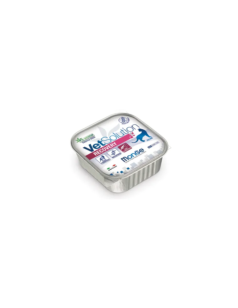 Monge Feline Recovery 100g
