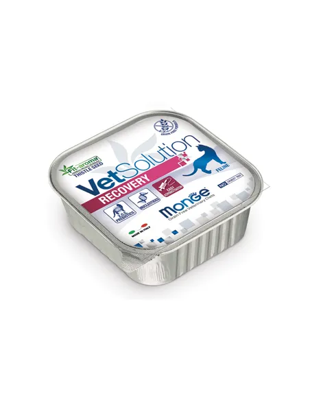 Monge Feline Recovery 100g