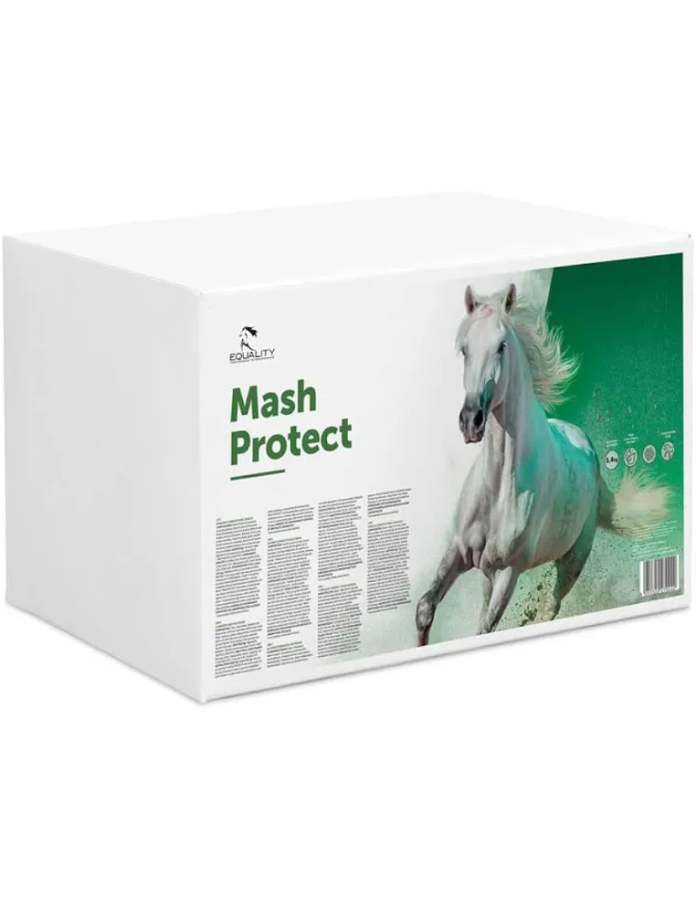 Mash Protect Equality