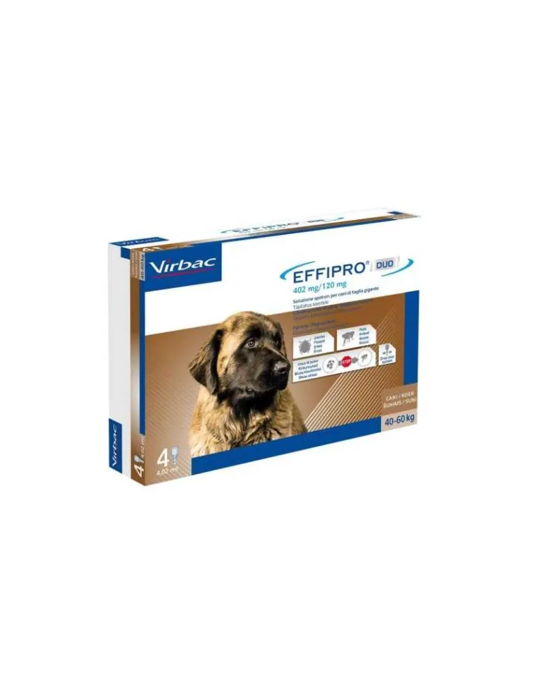 Effipro Duo 40 - 60 kg per cani 4 pipette 402 mg/120 mg