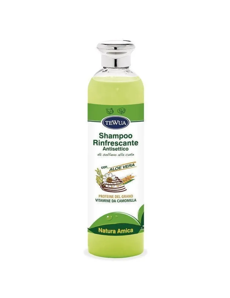 Shampoo Rinfrescante Amica 250ml Tewua