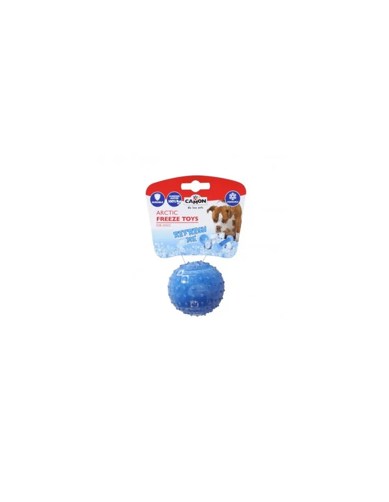 Gioco Tpr Artic Freeze Ball