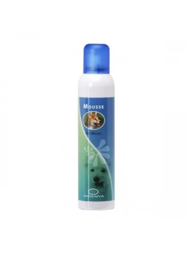 Shampoo Secco Dry Mousse 250ml Ingenya