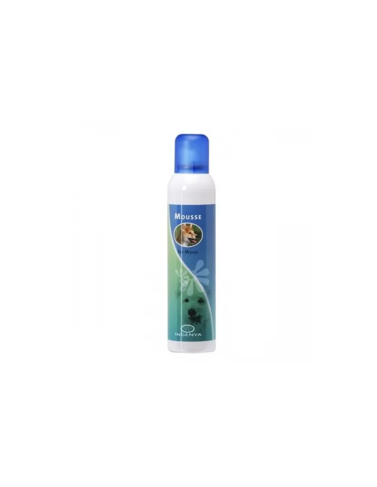 Shampoo Secco Dry Mousse 250ml Ingenya