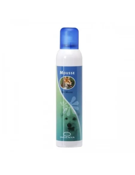 Shampoo Secco Dry Mousse 250ml Ingenya