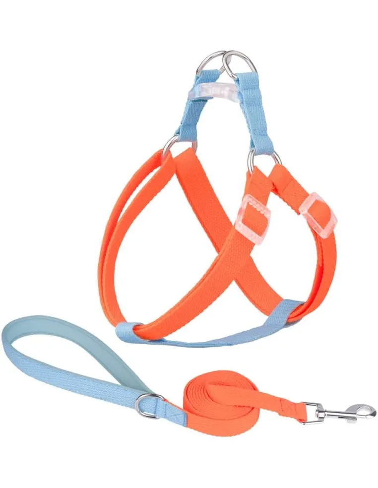 Kit Pettorina 15 mm + Guinzaglio Corda 8 x 1200 mm