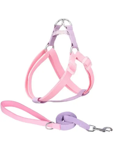 Kit Pettorina 25 mm + Guinzaglio Corda 12 x 1200 mm