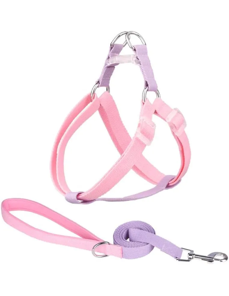 Kit Pettorina 25 mm + Guinzaglio Corda 12 x 1200 mm