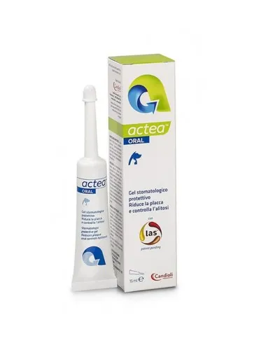 Actea Oral Candioli gel stomatologico 15 ml tubo cannula applicatrice
