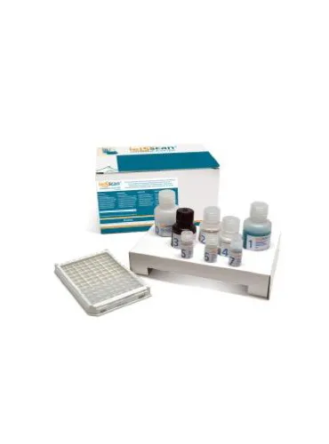 Leiscan 96 Test Elisa