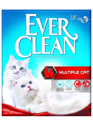 Ever clean multiple cat 6 kg