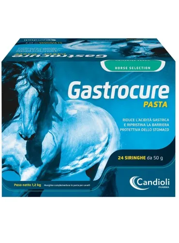 Gastrocure Candioli 24 Siringhe da 50 gr