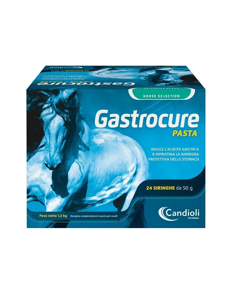 Gastrocure Candioli 24 Siringhe da 50 gr