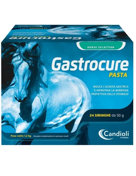 Gastrocure Candioli 24 Siringhe da 50 gr