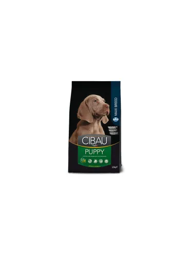 Farmina cibau puppy maxi 12 kg