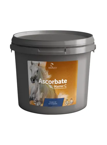 Ascorbate Master C da 1,8 kg Equality