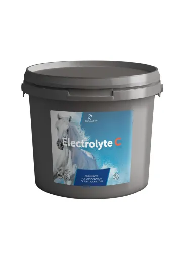 Electrolyte C Equality polvere 3 kg