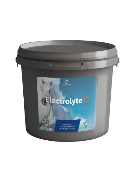 Electrolyte C Equality polvere 3 kg