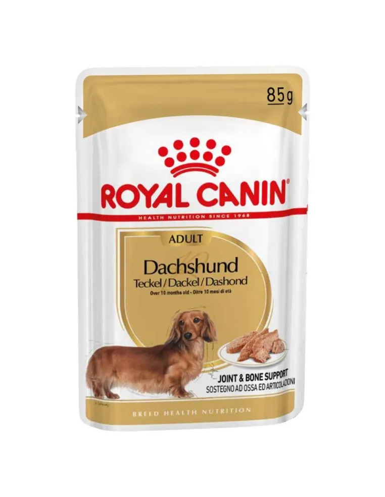 Bassotto Adult Royal Canin 85g Busta