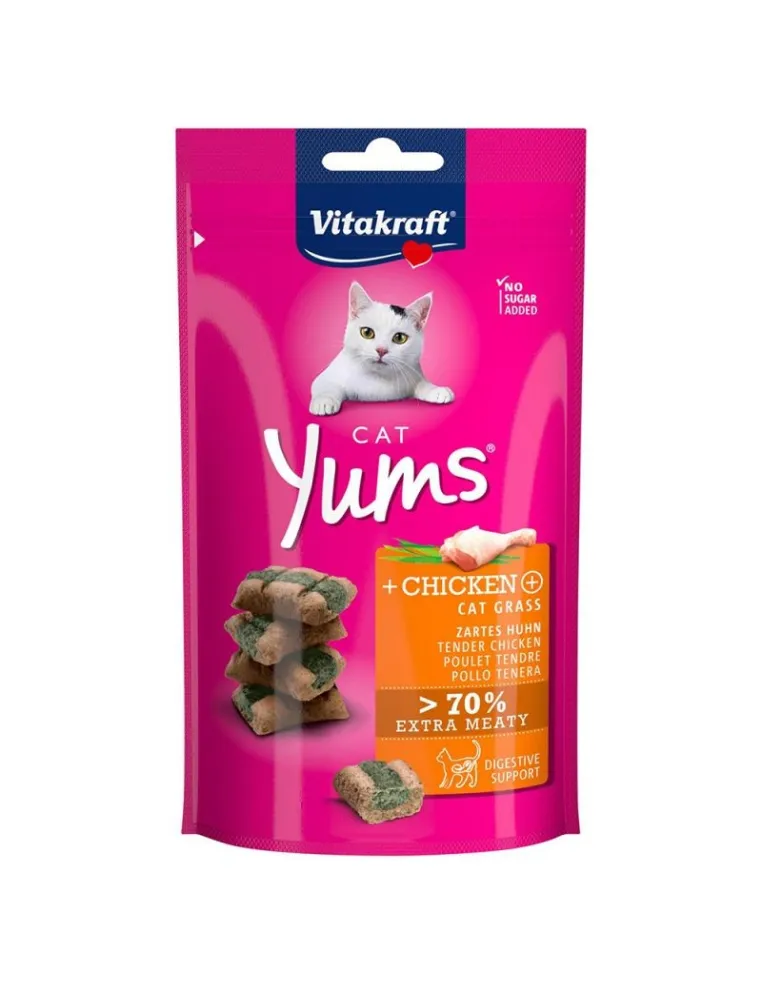 Cat Snack Yums Vitakraft Pollo Erba 40g