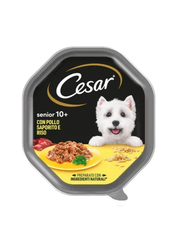 Cesar Senior 10+ Pollo Saporito Riso 150g