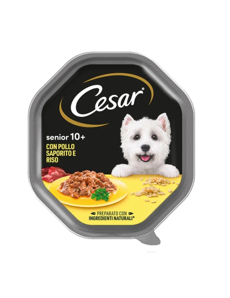 Cesar Senior 10+ Pollo Saporito Riso 150g