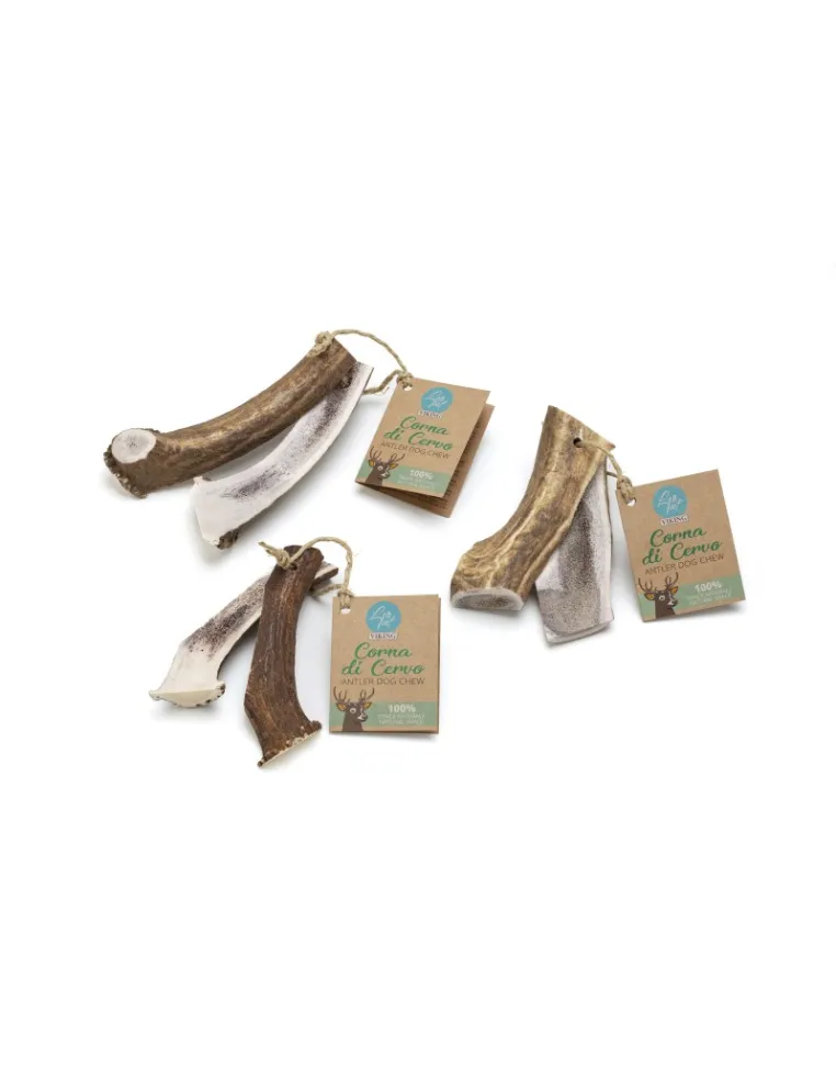 Corna di Cervo Aperta Misura L 120-160g