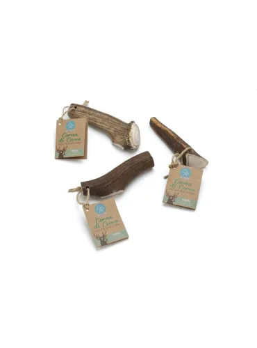 Corna di Cervo Chiusa Misura L 120-160g