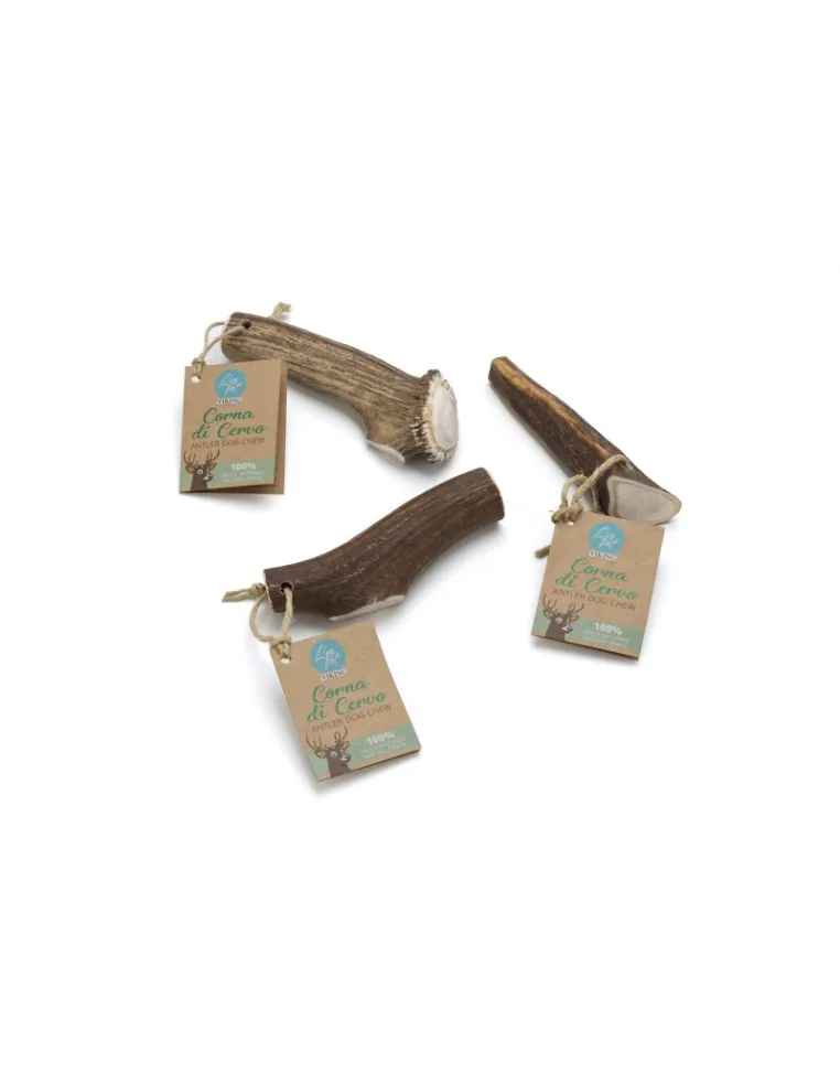 Corna di Cervo Chiusa Misura L 120-160g