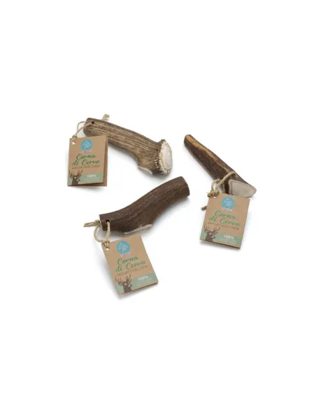 Corna di Cervo Chiusa Misura L 120-160g