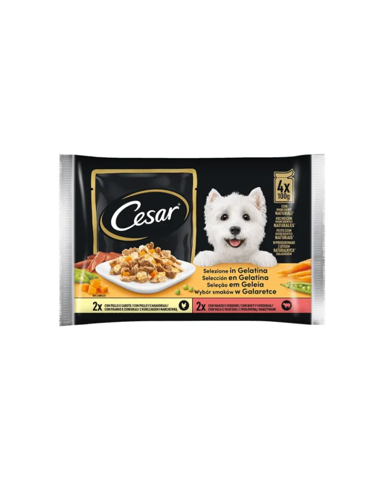 Delizie del Giorno Dog Cesar 4x100gr in Gelatina