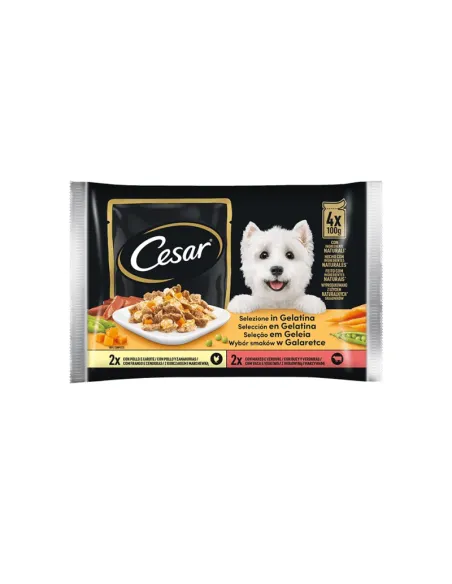 Delizie del Giorno Dog Cesar 4x100gr in Gelatina Delizie del Giorno Dog Cesar 4x100gr in Gelatina