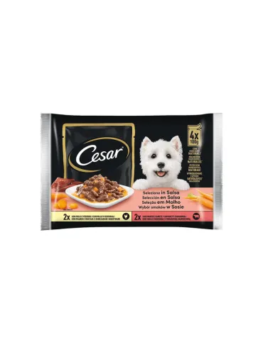 Delizie del Giorno Dog Cesar 4x100gr Salsa