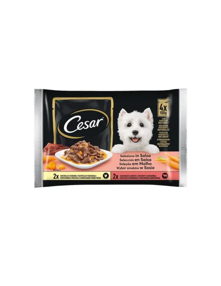 Delizie del Giorno Dog Cesar 4x100gr Salsa