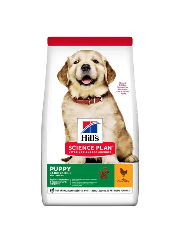 Dog Hills Science Plan Puppy Large Breed Pollo 12kg