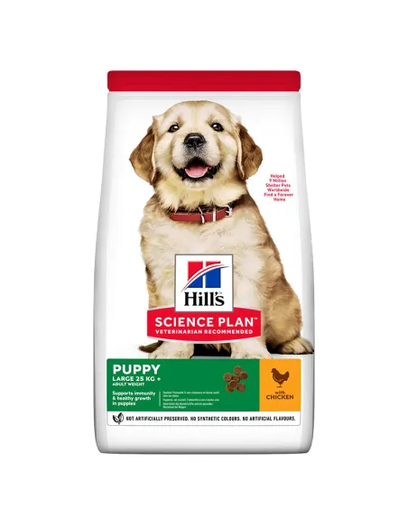 Dog Hills Science Plan Puppy Large Breed Pollo 12kg