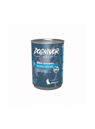 Dognivor Trota Artica Orzo Zucchine 400g