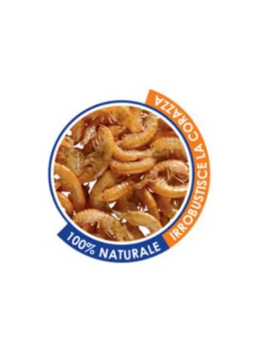 Ekofish Gammarus Mangime Tartarughe