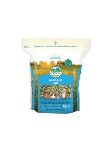 Fieno Roditori Oxbow Alfalfa Hay 425g