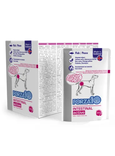 Forza10 Diet Active Wet Intestinal 12x100g Busta