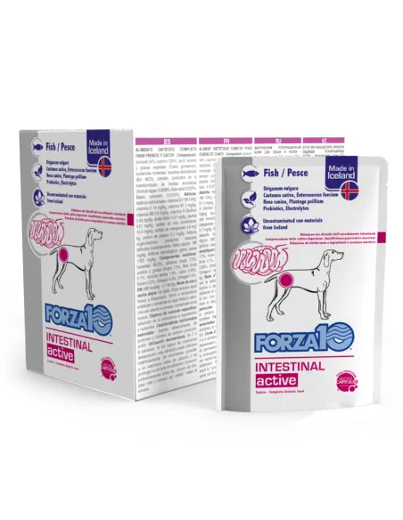 Forza10 Diet Active Wet Intestinal 12x100g Busta