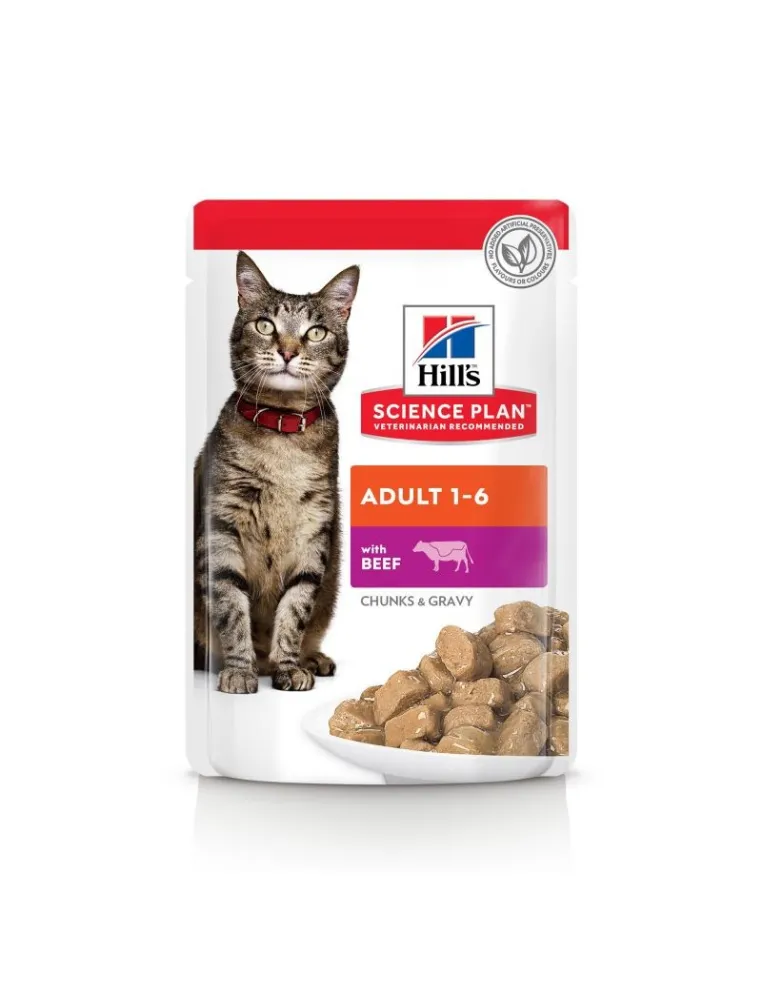 Hills Science Plan Adult Manzo 85g Busta