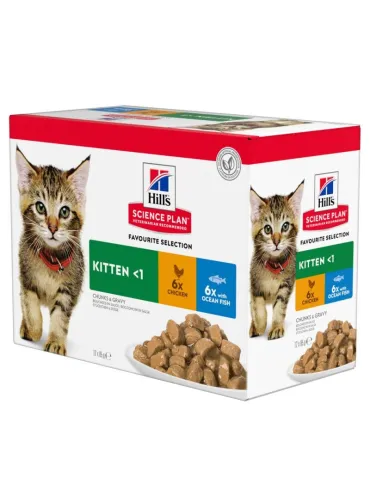 Hills Science Plan Kitten Pollo Pesce 12x85gr